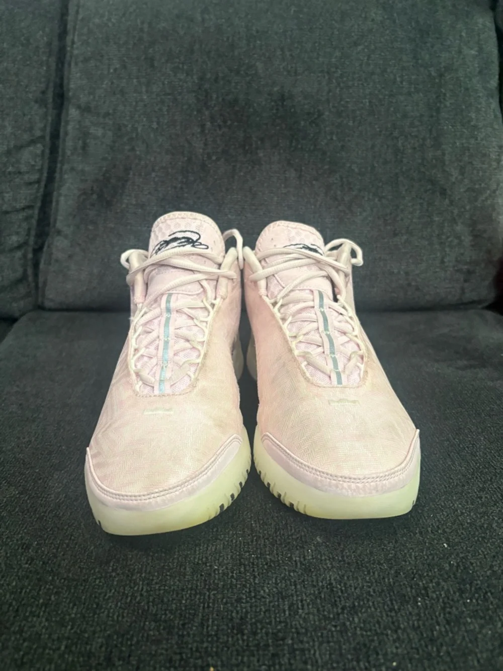 Nike Zoom LeBron NXXT Genisus “Iridescent pink” HF0712-602 Size 8.5